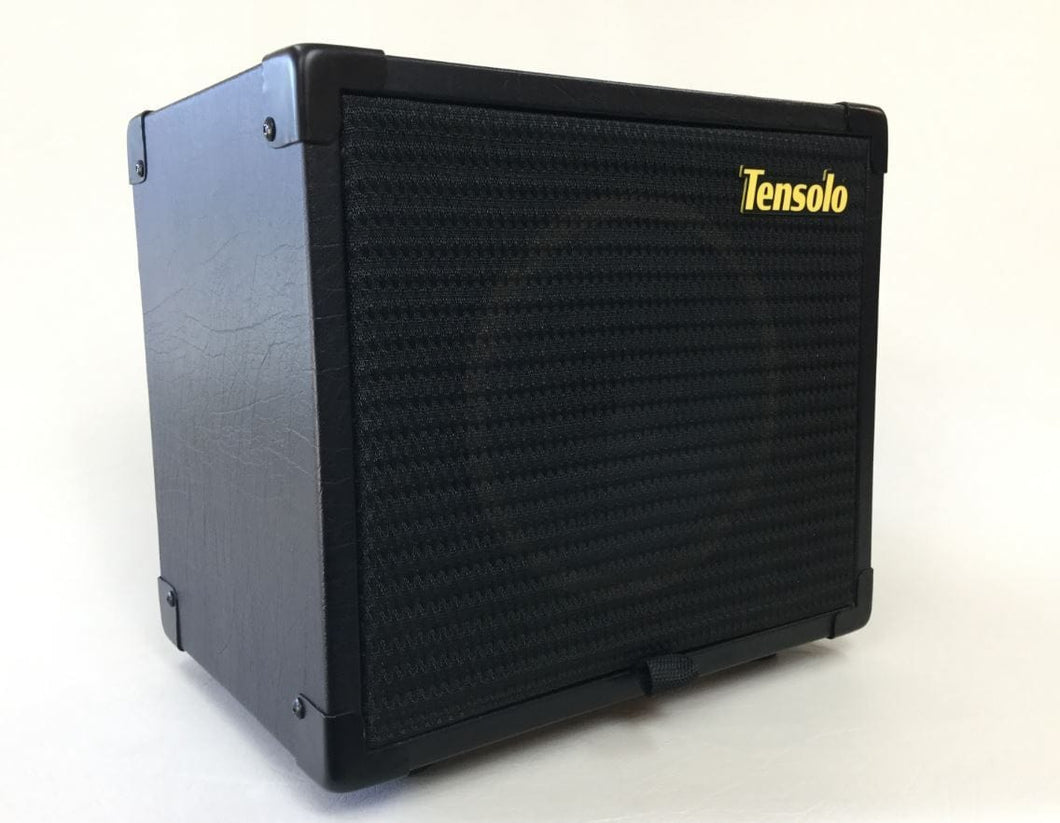 JE Geyer - M Series 108 - 1x8 Guitar Speaker Cabinet (20W) - Demo Unit - Tensolo Music Co.