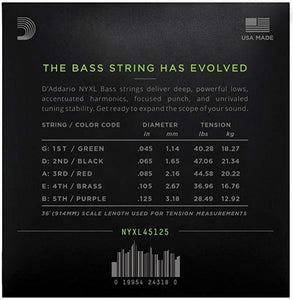 D'Addario NYXL45100 Electric Bass Strings - Regular Light 45-100 Long Scale - Tensolo Music Co.