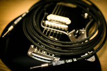 Cargar imagen en el visor de la galería, Rattlesnake Cable Co. - 10&#39; Standard Instrument - Straight to Straight Plugs